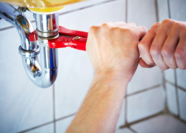 About Rhodelia Plumbers